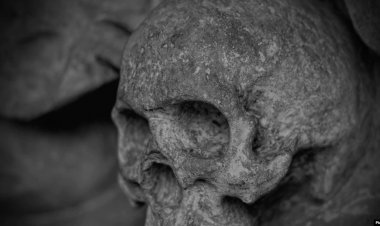 Meksika’dan ABD’ye Gönderilen 4 Kafatası Yakalandı