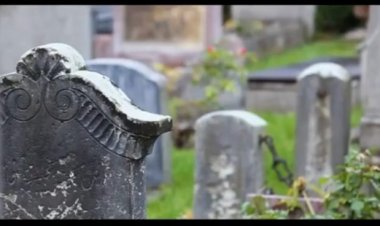 Berlin'de Müslümanlar İçin Mezarlık Sorunu Büyüyor.