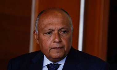 Mısır Dışişleri Bakanı Türkiye'de