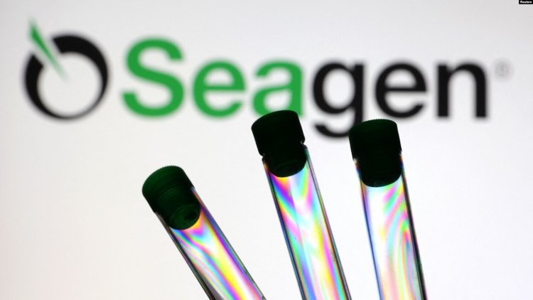 Pfizer Kanser İlacı Üreticisi Seagen'ı 43 Milyar Dolara Alıyor