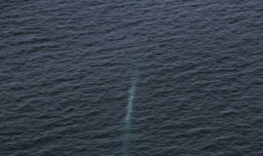 Kuzey Kore'den Yeni Bir Denizaltı Aracı Denemesi