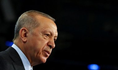 Erdoğan İsrail Cumhurbaşkanı'yla Görüştü