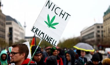 Almanya’da Esrar Kullanımı Serbest Bırakılıyor