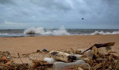 Plastik atıklara çözüm bulma çabası