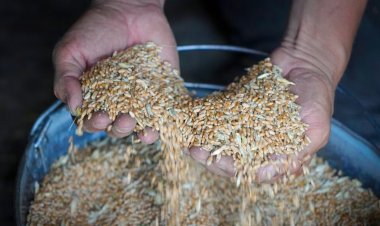 Birleşmiş Milletler’den Karadeniz tahıl anlaşmasının sona ermesine karşı uyarı