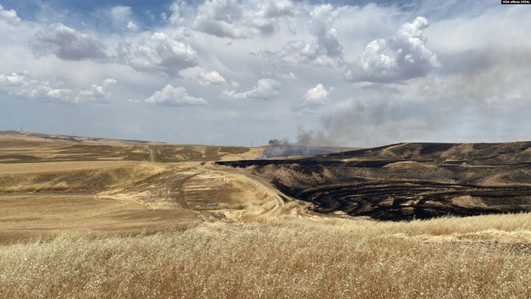 Diyarbakır’daki arazi kavgası olayında 5 kişi yakalandı