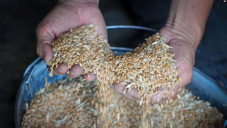 Birleşmiş Milletler’den Karadeniz tahıl anlaşmasının sona ermesine karşı uyarı