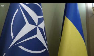 NATO müttefikleri Ukrayna'nın üyeliğini hızlandırmayı kabul edecek mi?