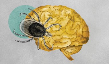 Kene ve mantar hastalıklarının yayılmasında iklim değişikliği etkili oluyor