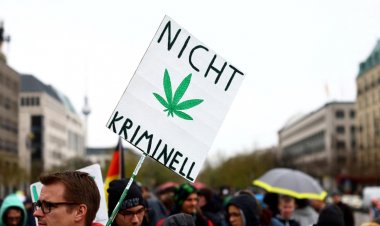 Almanya esrar tüketimini yasallaştırıyor