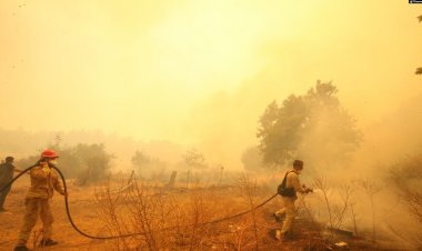 Çanakkale’de yangın gece de devam ediyor 1500 hektar ormanlık alan yandı