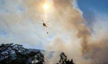 Çanakkale’deki orman yangını kontrol altına alındı