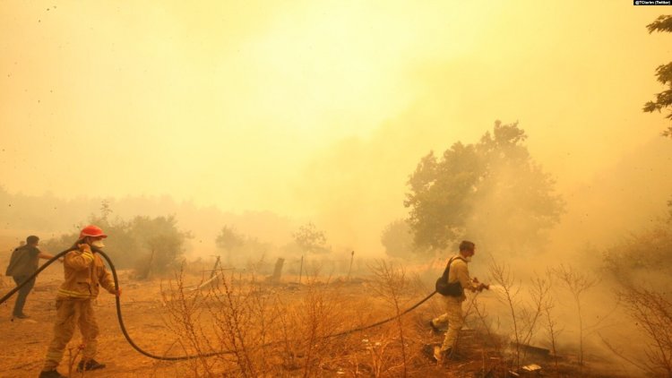 Çanakkale’de yangın gece de devam ediyor 1500 hektar ormanlık alan yandı