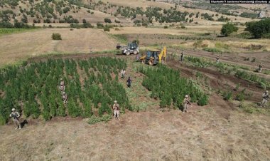 Diyarbakır’da 129 noktaya eş zamanlı uyuşturucu operasyonu