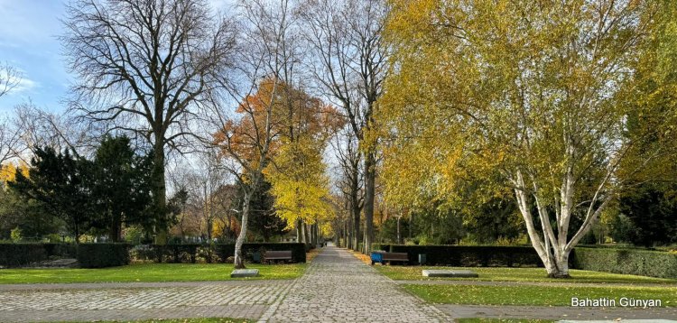 Berlin'de Mezarlık  Alanları Büyütülüyor.