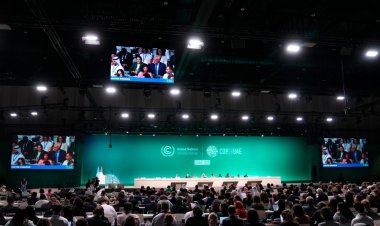 “COP28’deki kazanım krizin boyutlarını inkara devam eden bir hile”