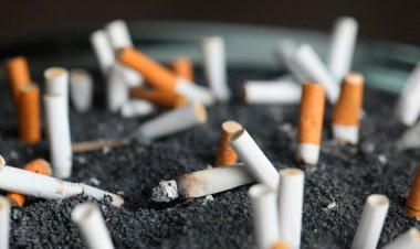 “Dünyada tütün kullanımı giderek azalıyor”