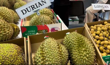 Sebze ve Meyve  Fuarı Berlin