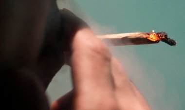 Almanya‘da esrar tüketiminin yasallaşmasında önemli adım: Federal Meclis'te kabul edilen yasa tasarısı neleri öngörüyor?