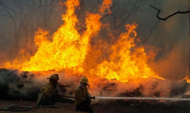 Teksas'ta başlayan orman yangını hızla büyüyor