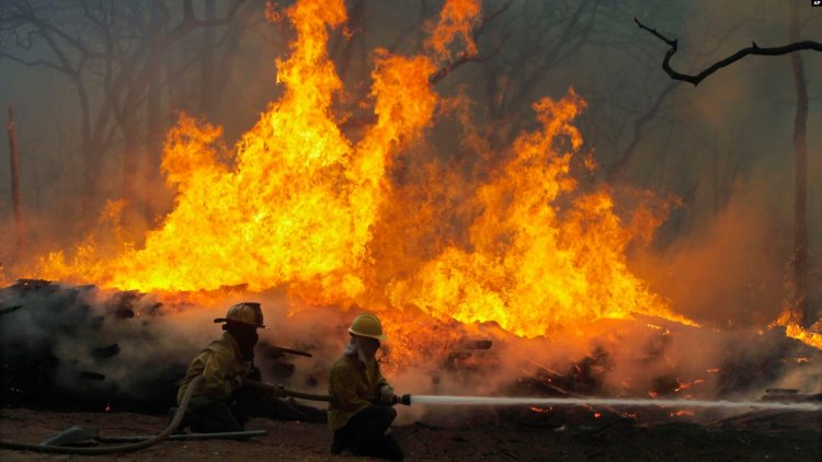 Teksas'ta başlayan orman yangını hızla büyüyor