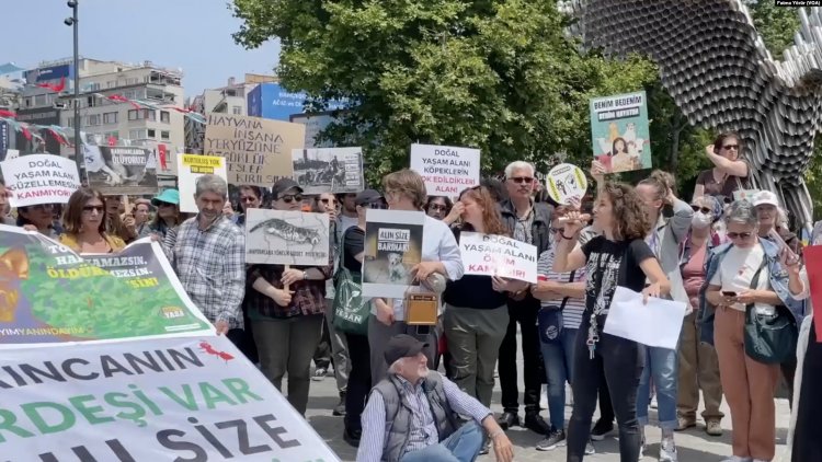 Hayvanları Koruma Kanunu yasa tasarısı Meclis’e gelmeye hazırlanırken üç kentte eylem: “Hayvanları hedef gösteremezsiniz”