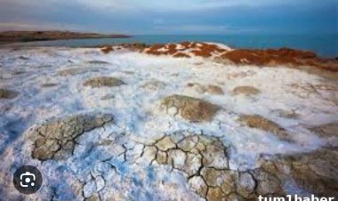 Aral "Kazakistan ve Aral Gölü'nün kurtuluş umudu"