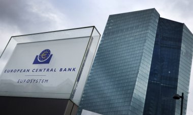 Avrupa Merkez Bankası FED’den erken davranarak faiz oranlarını indirmek için ilk adımı attı