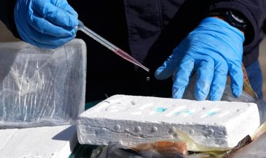 Almanya’da 39 ton kokain ele geçirildi: Tutuklanan 7 kişi arasında Türk vatandaşı da var