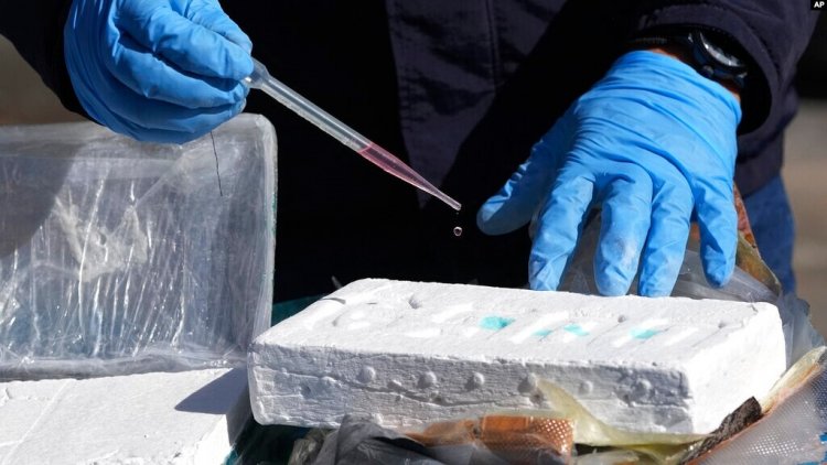 Almanya’da 39 ton kokain ele geçirildi: Tutuklanan 7 kişi arasında Türk vatandaşı da var