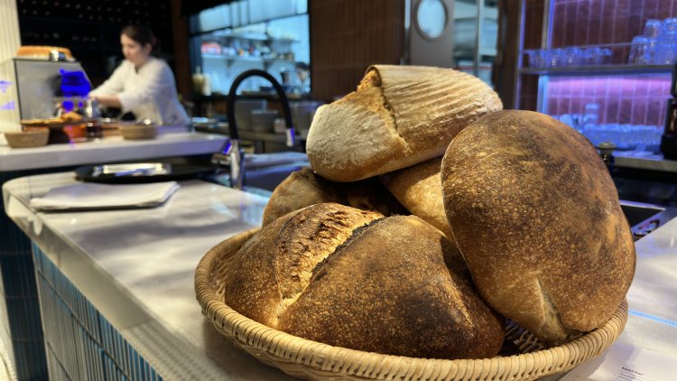 Hayvore: Karadeniz Mutfağından Dünya Sofralarına Yolculuk