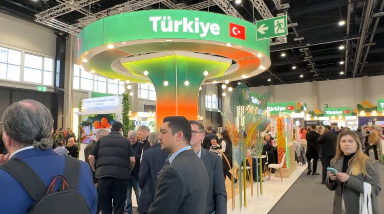 Meyve İhracatında Mısır ve Türkiye’nin Yükselişi