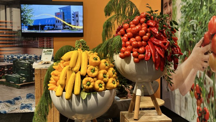 FRUIT LOGISTICA 2025: Fuarın Ardından