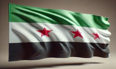 Arka Plan, Tepkiler ve Sonuçlar