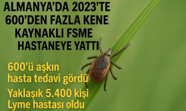 Almanya’da 2023’te 600’den Fazla Kene Kaynaklı FSME Vakası Hastaneye Yattı
