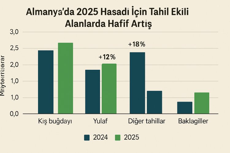 Almanya’da 2025 Hasadı İçin Tahıl Ekili Alanlarda Hafif Artış