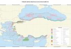 Mavi Vatan Artık Küresel Haritada