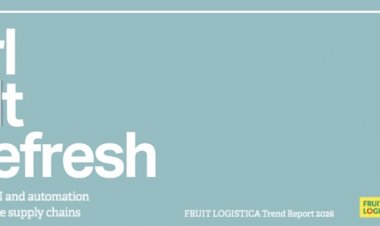 Yapay zekâ ve otomasyon meyve-sebze ticaretini kökten değiştiriyor