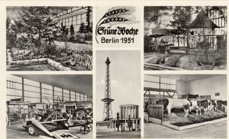 Berlin’de “Grüne Woche” 100 yaşında: Dünyanın en büyük tarım ve gıda fuarı daha büyük ve uluslararası