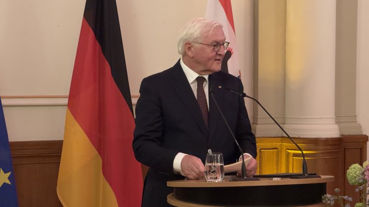 Steinmeier: Demokrasi güven ister