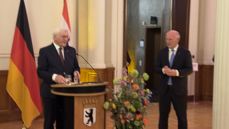 Steinmeier: Demokrasi güven ister