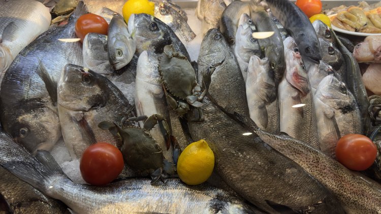 Balık Tüketimi Berlin’de Yeniden Yükselişte