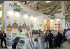 FRUIT LOGISTICA 2026: Drei Tage, die den globalen Fruchthandel bewegen