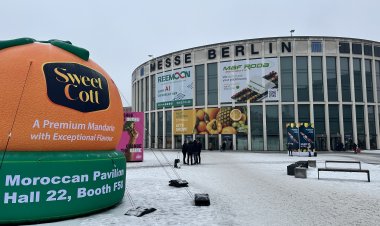 Drei Tage Fruit Logistica: Nachhaltigkeit, Technologie und die Zukunft der globalen Lieferketten