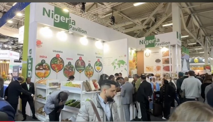 FRUIT LOGISTICA 2026: Drei Tage, die den globalen Fruchthandel bewegen