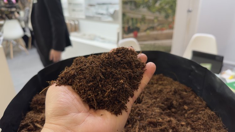 Fruit Logistica 2026: Von der Wurzel bis zur Vermarktung – Ein Blick auf die gesamte Wertschöpfungskette