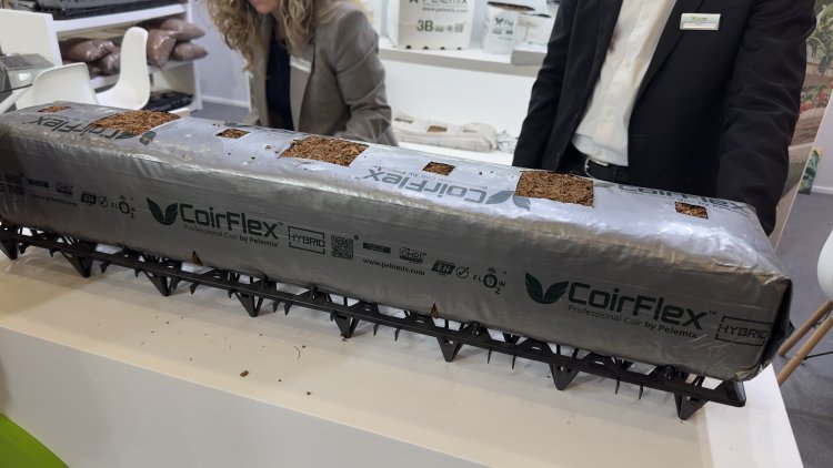 Fruit Logistica 2026: Von der Wurzel bis zur Vermarktung – Ein Blick auf die gesamte Wertschöpfungskette