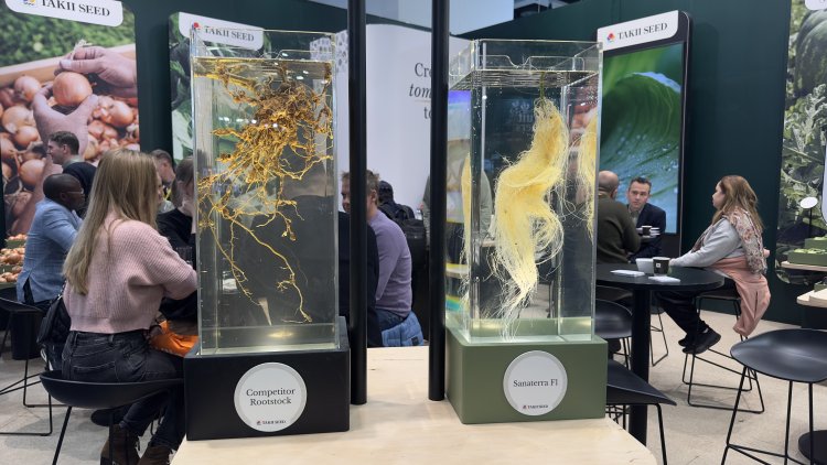 Fruit Logistica 2026: Von der Wurzel bis zur Vermarktung – Ein Blick auf die gesamte Wertschöpfungskette