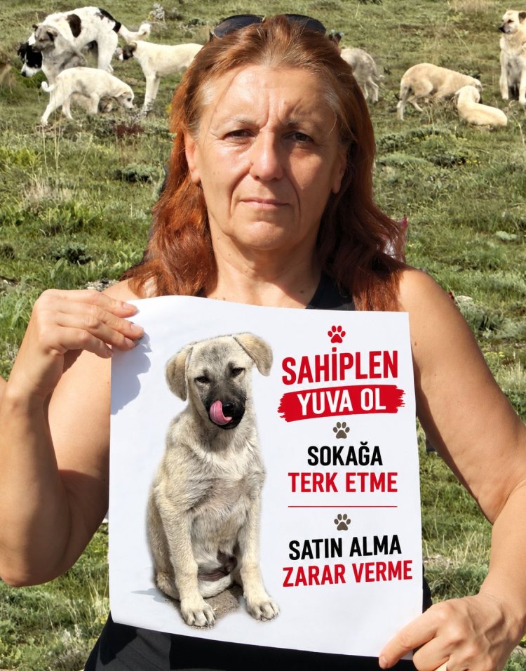 4 Ekim’de Çeşme’den çağrı: “Kutlanacak bir tablo yok”